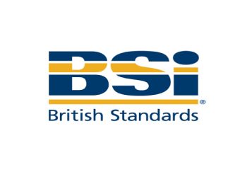 BSI Group Logo